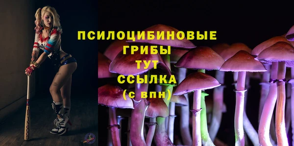 СК Алексеевка