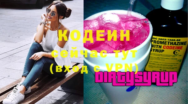 хмурый Алексин