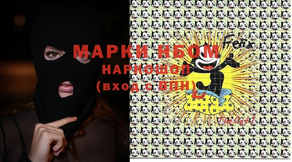 хмурый Алексин