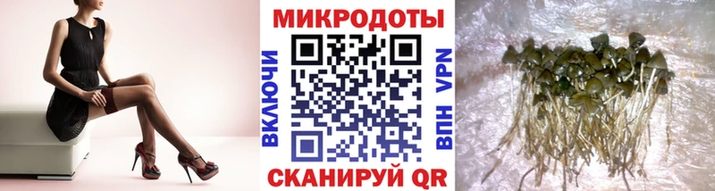 Галлюциногенные грибы Psilocybe мега зеркало Жуковский